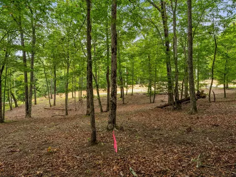 3 21 Ac Eagle Rock Rd, Monteagle, TN 37356 photo 23