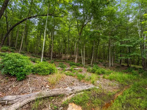 3 21 Ac Eagle Rock Rd, Monteagle, TN 37356 photo 14