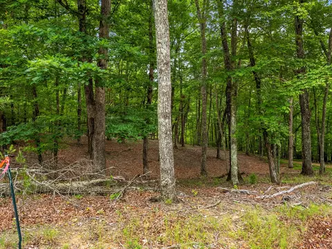 3 21 Ac Eagle Rock Rd, Monteagle, TN 37356 photo 18