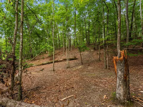 3 21 Ac Eagle Rock Rd, Monteagle, TN 37356 photo 24