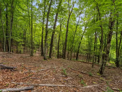 3 21 Ac Eagle Rock Rd, Monteagle, TN 37356 photo 11