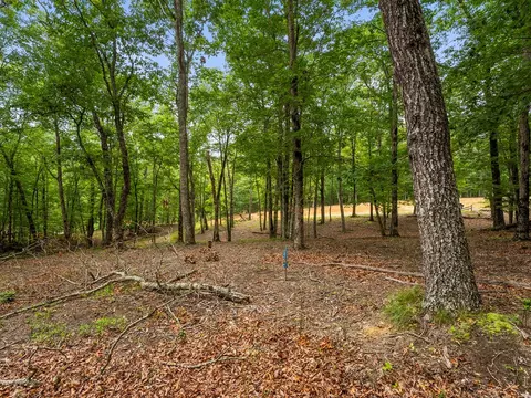 3 21 Ac Eagle Rock Rd, Monteagle, TN 37356 photo 12