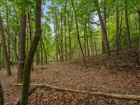 3 21 Ac Eagle Rock Rd, Monteagle, TN 37356 photo 15