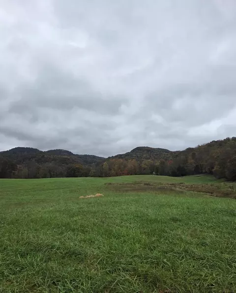 1768 Wilder Hwy, Crawford, TN 38554