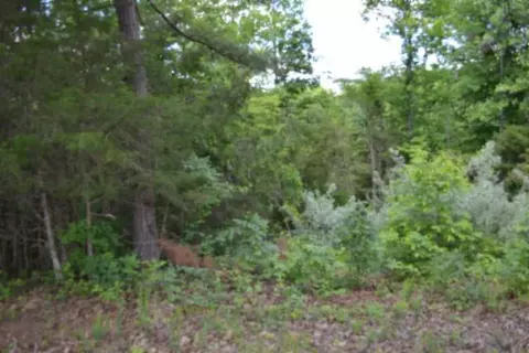 2 75ac Beauchamp Rd, Burkesville, KY 42717