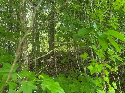 lot13 Lot 13 Apache Rd, Jamestown, TN 38556