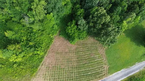 0 Summer Breeze Dr #LOT 12, Smithville, TN 37166