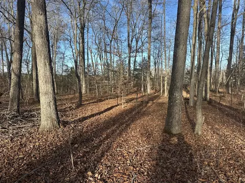 0 Arnold Thomas Rd, Silver Point, TN 38582 photo 14