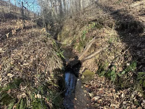 0 Arnold Thomas Rd, Silver Point, TN 38582 photo 12