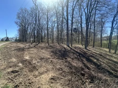 0 Arnold Thomas Rd, Silver Point, TN 38582 photo 5