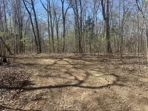 0 Arnold Thomas Rd, Silver Point, TN 38582 photo 9