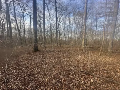 0 Arnold Thomas Rd, Silver Point, TN 38582 photo 11
