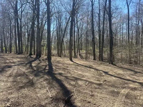 0 Arnold Thomas Rd, Silver Point, TN 38582 photo 4