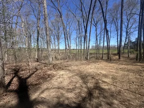0 Arnold Thomas Rd, Silver Point, TN 38582 photo 8
