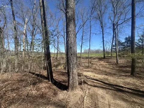0 Arnold Thomas Rd, Silver Point, TN 38582 photo 7