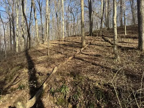 0 Arnold Thomas Rd, Silver Point, TN 38582 photo 13