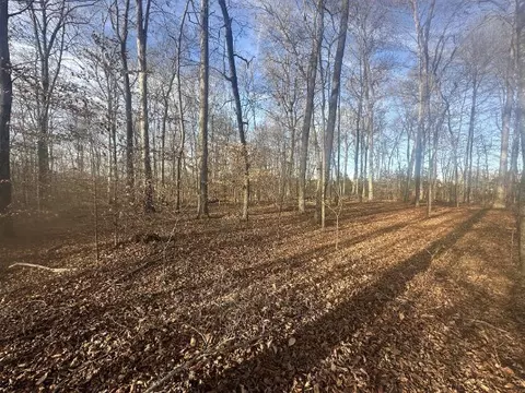 0 Arnold Thomas Rd, Silver Point, TN 38582 photo 10
