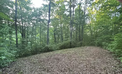 lot52 W Bobcat Ln, Wilder, TN 38589