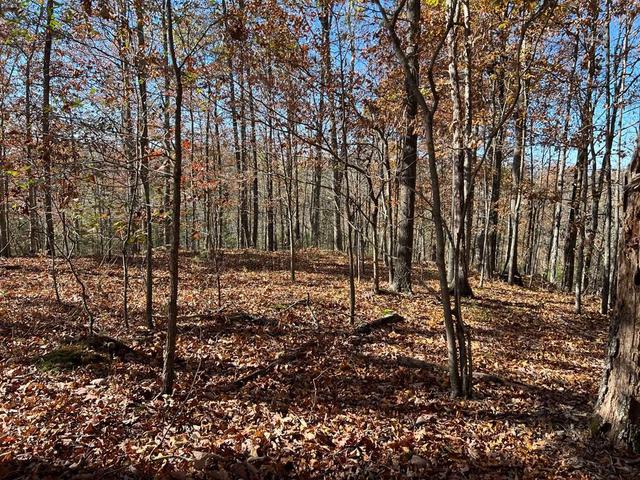 2 19 Ac Old Hwy 53, Celina, TN 38551