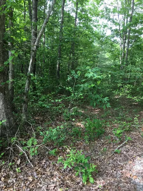 lot48 Buckeye Ln, Wilder, TN 38589
