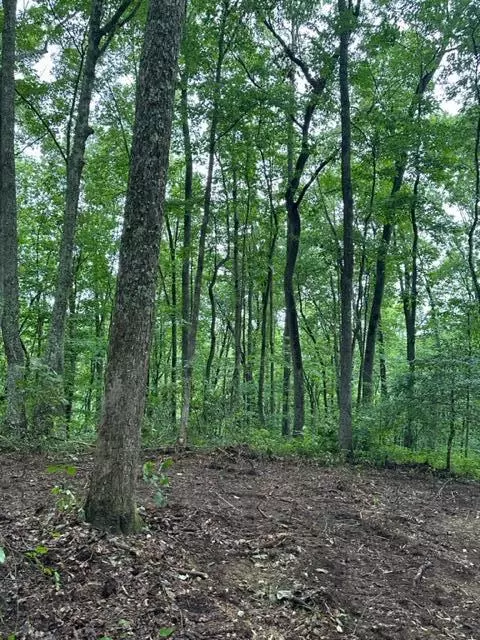 lot340 Deep Br, Wilder, TN 38589