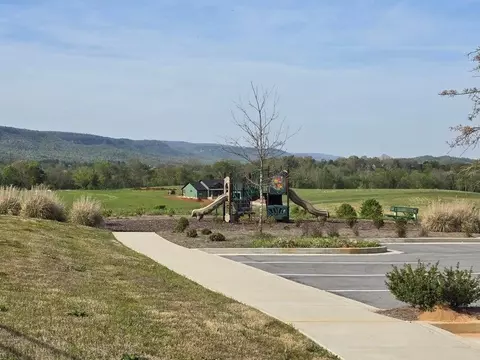 102 102 Pinnacle Point Dr, Dunlap, TN 37327 photo 15
