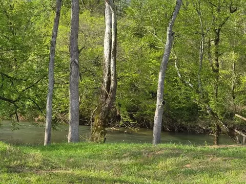 102 102 Pinnacle Point Dr, Dunlap, TN 37327 photo 10
