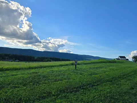 102 102 Pinnacle Point Dr, Dunlap, TN 37327 photo 3