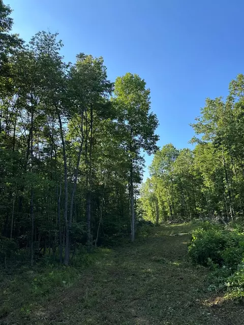 911 Parkstown Rd, Wilder, TN 38589