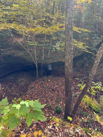 lot91 Buckeye Ln, Wilder, TN 38589