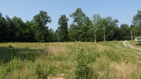 580 Pleasant Cemetery Ln, Gainesboro, TN 38562