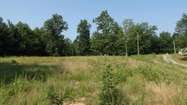 13 87ac Pleasant Cemetery Ln, Gainesboro, TN 38562