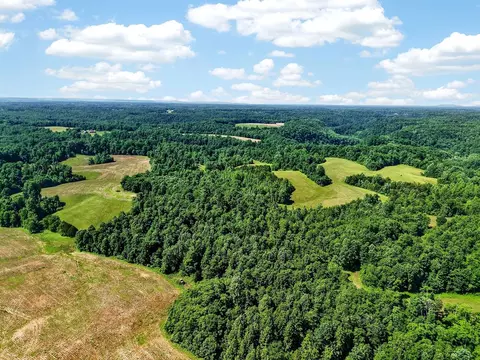 193 Ac Massa Rd, Baxter, TN 38544 photo 18