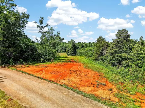 193 Ac Massa Rd, Baxter, TN 38544 photo 8