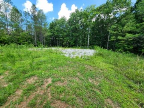 674 Rhodas Way, Sunbright, TN 37872