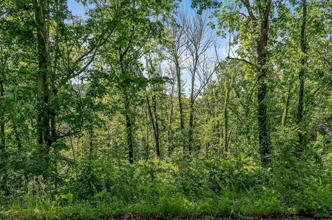 0 Harbor Pointe, Silver Point, TN 38582 photo 16