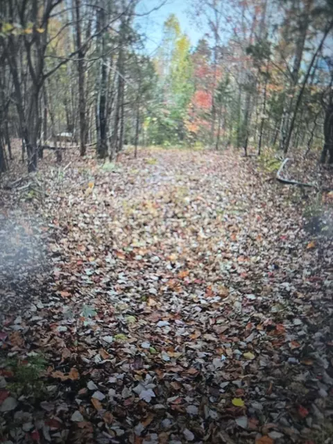 . Kenneth Linder/coyote Ln., Livingston, TN 38570