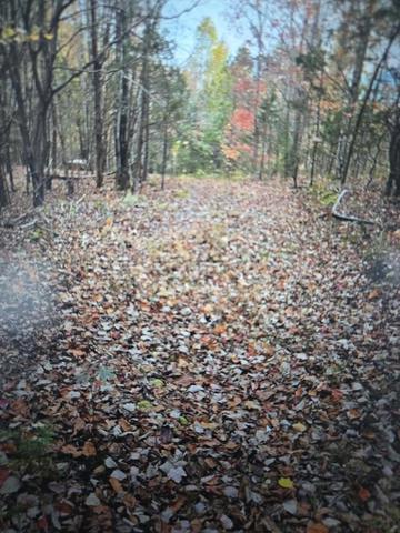 . Kenneth Linder/coyote Ln., Livingston, TN 38570