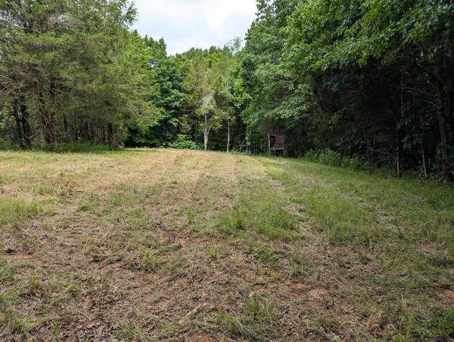 25 Ac Gains Hill Rd, Burkesville, KY 42717