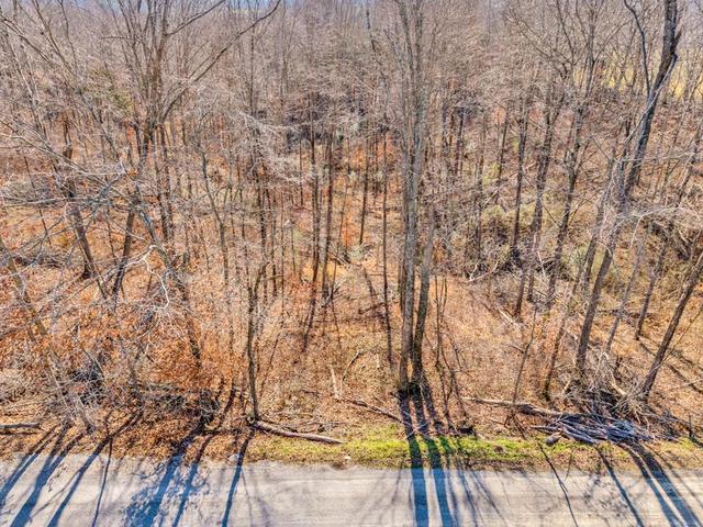 0 James Reeder Ln, Allons, TN 38541