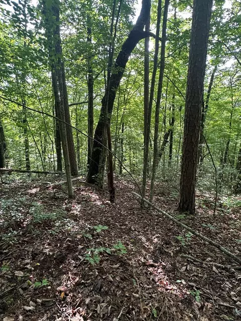 lot371 E Obey Ln, Wilder, TN 38589