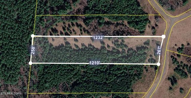 0 White Creek Dr, Deer Lodge, TN 37726