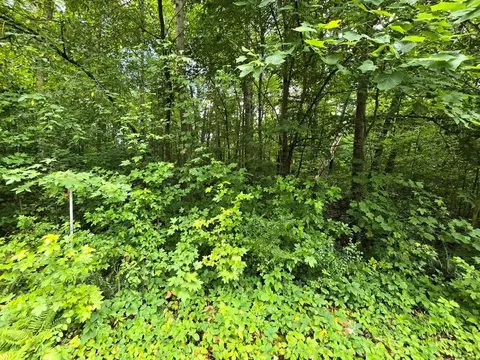 lot133 Lower Brow Rd, Dunlap, TN 37327