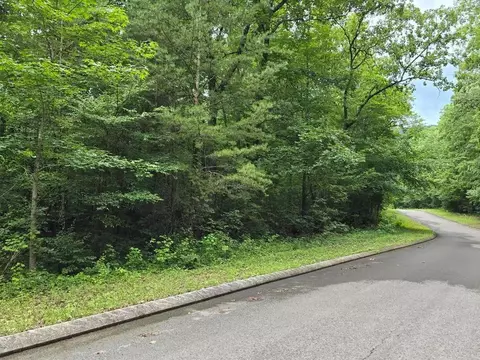 lot135 Lower Brow Rd, Dunlap, TN 37327