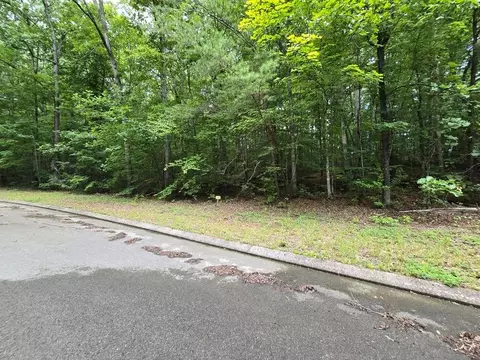 lot136 Lower Brow Rd, Dunlap, TN 37327