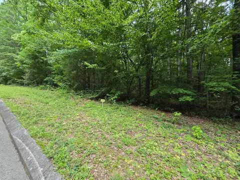 lot138 Lower Brow Rd, Dunlap, TN 37327