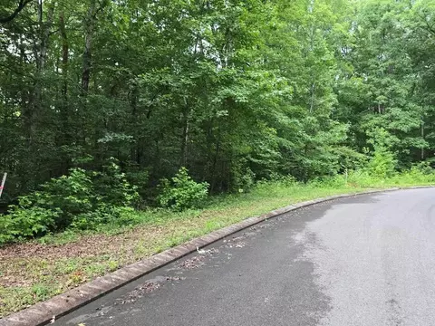 lot141 Lower Brow Rd, Dunlap, TN 37327