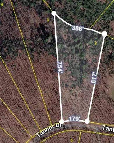 lot2 Tanner Dr, Monterey, TN 38574