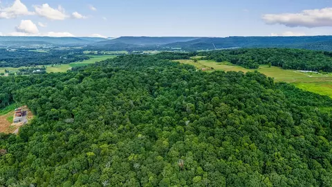 00 Bowman Ln, Doyle, TN 38559 photo 16