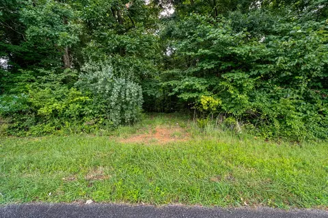 00 Bowman Ln, Doyle, TN 38559 photo 2